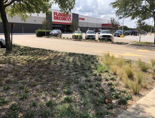 Floor & Decor – Hulen