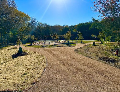 Cedar Hill State Park